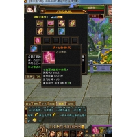 出89级峨眉，清10血9W，高血回蓝2.2W，127冰抗，60毒抗。