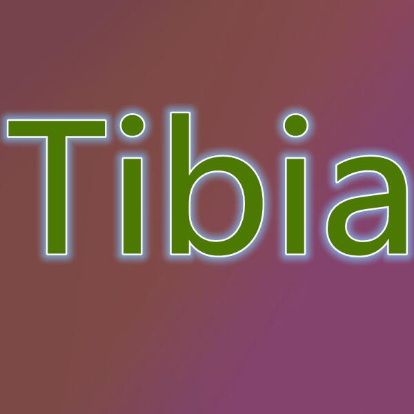 Tibia